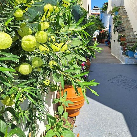 Βig Βlue Apartments Makriyialós Luaran gambar