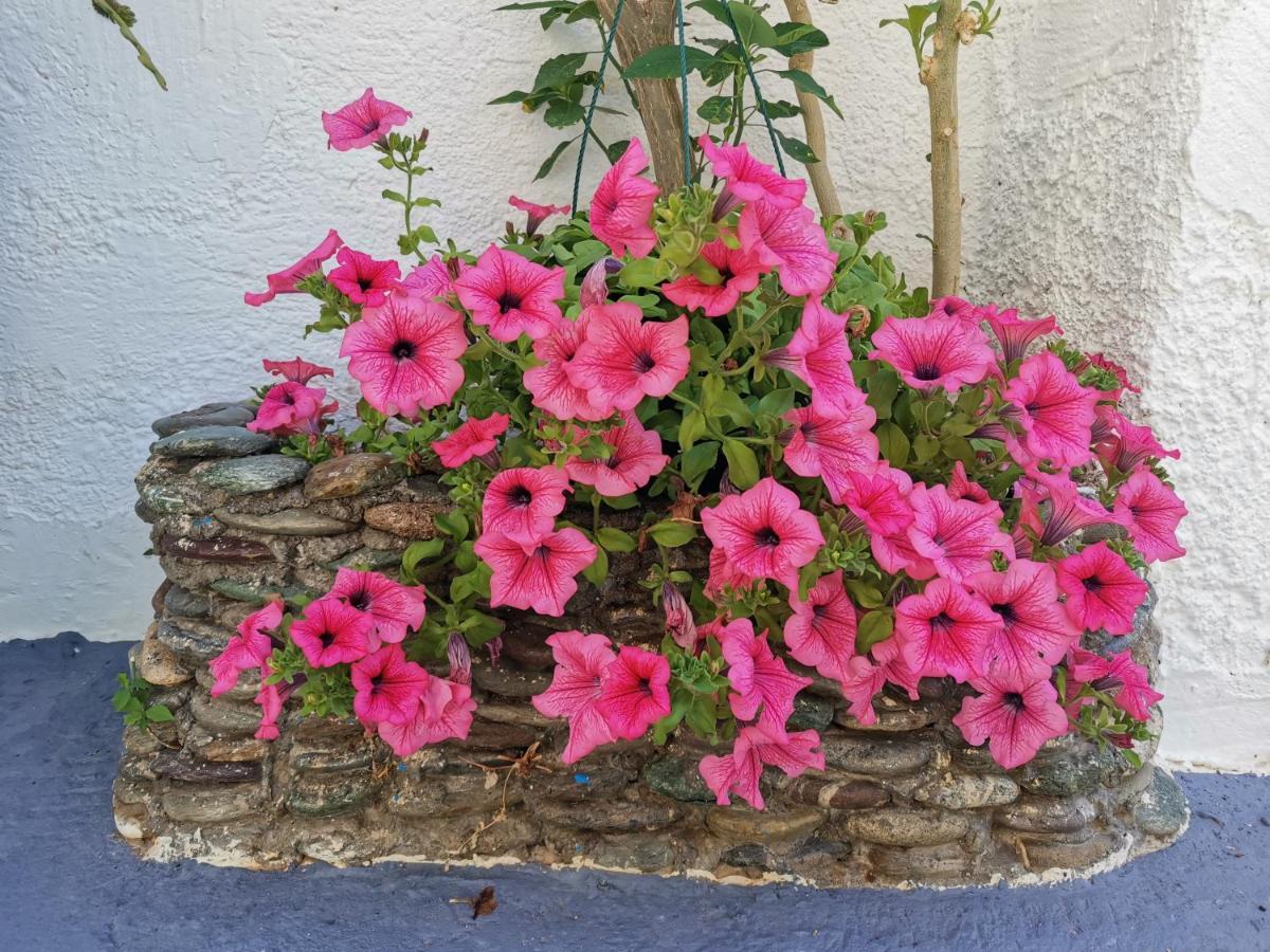 Βig Βlue Apartments Makriyialós Luaran gambar