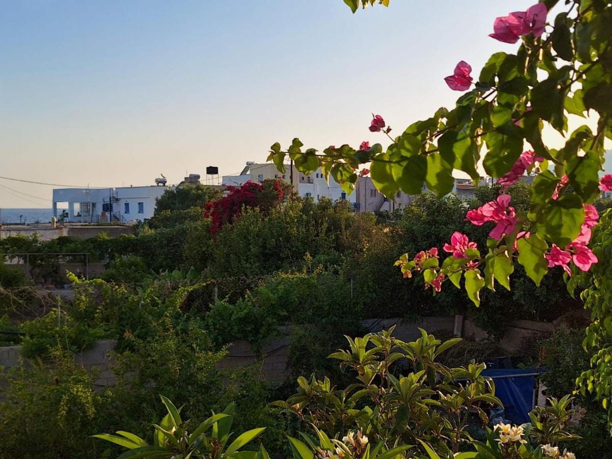 Βig Βlue Apartments Makriyialós Luaran gambar