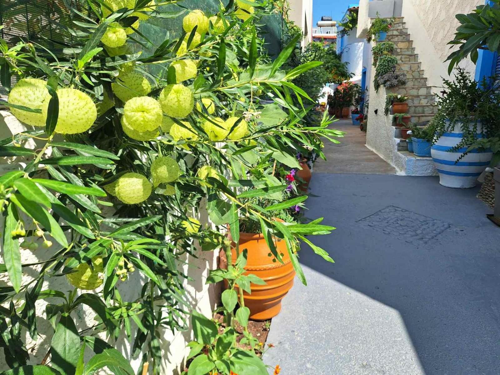Βig Βlue Apartments Makriyialós Luaran gambar