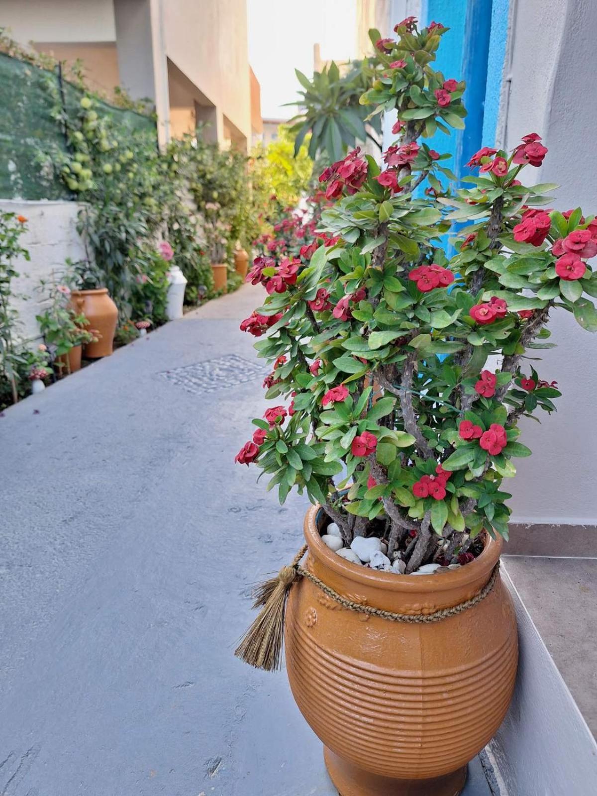 Βig Βlue Apartments Makriyialós Luaran gambar