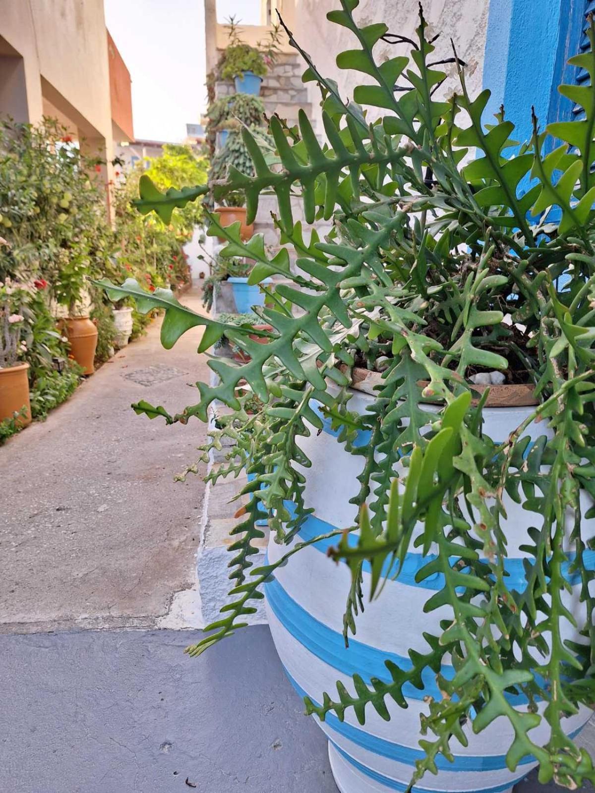 Βig Βlue Apartments Makriyialós Luaran gambar