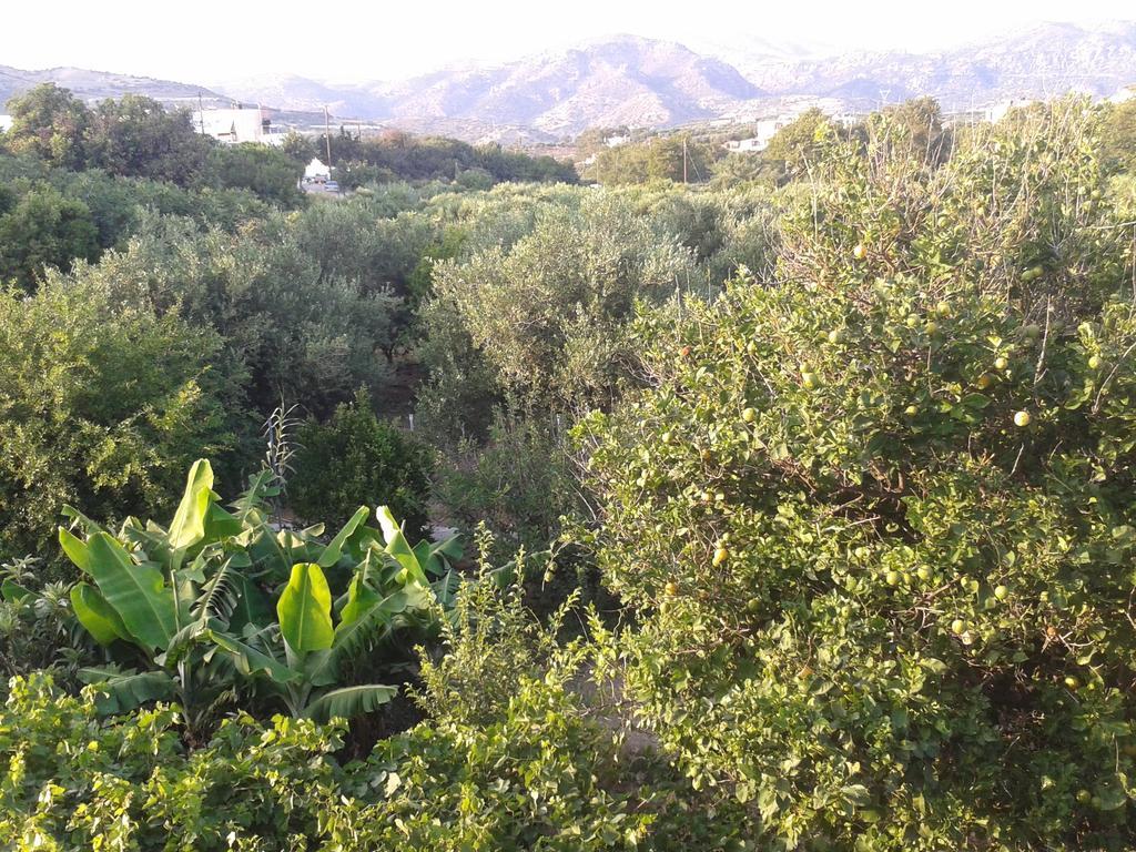 Βig Βlue Apartments Makriyialós Bilik gambar